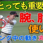 ゴルフスイングの手、腕、肘の使い方、動かし方、コッキング等をスギプロがレッスンします。